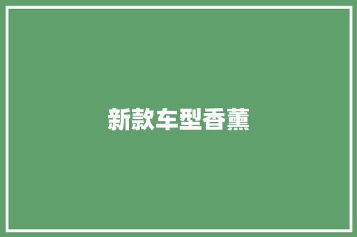 新款车型香薰