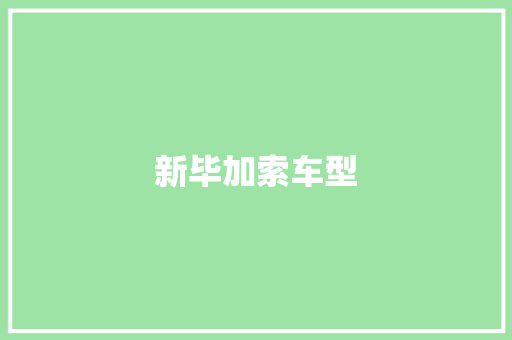 新毕加索车型