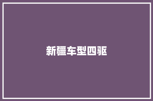 新疆车型四驱