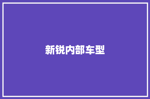 新锐内部车型
