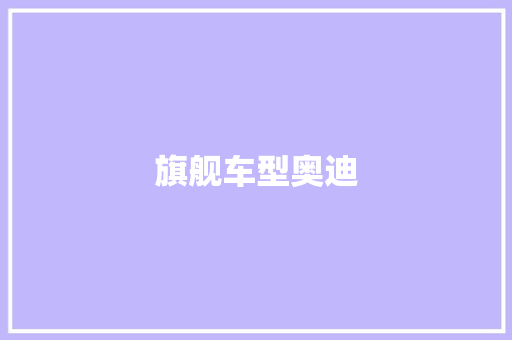 旗舰车型奥迪
