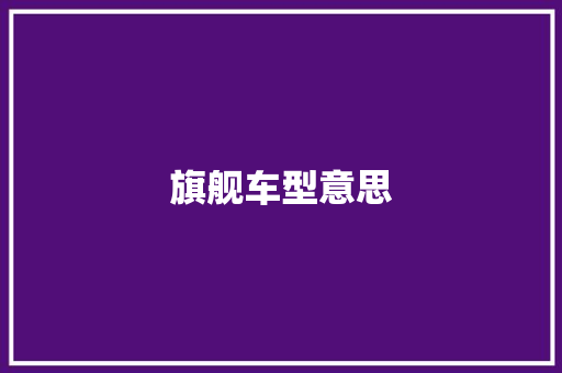 旗舰车型意思