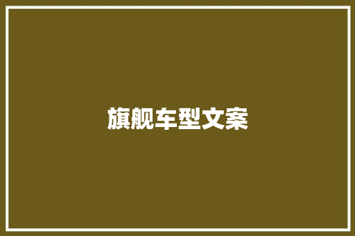 旗舰车型文案