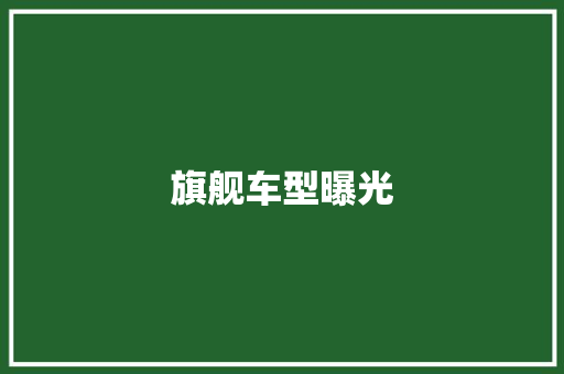 旗舰车型曝光