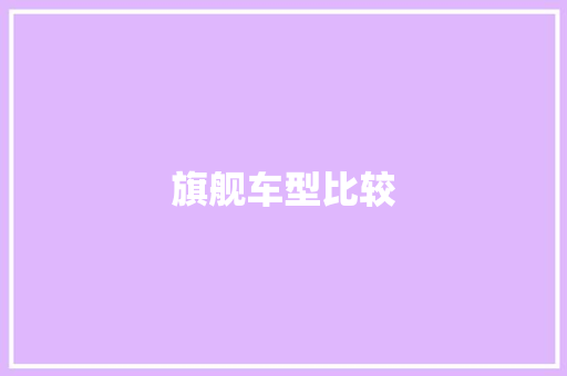 旗舰车型比较