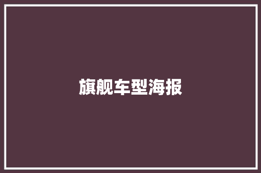 旗舰车型海报