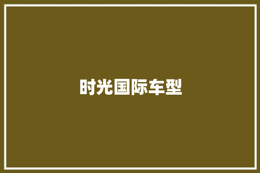 时光国际车型