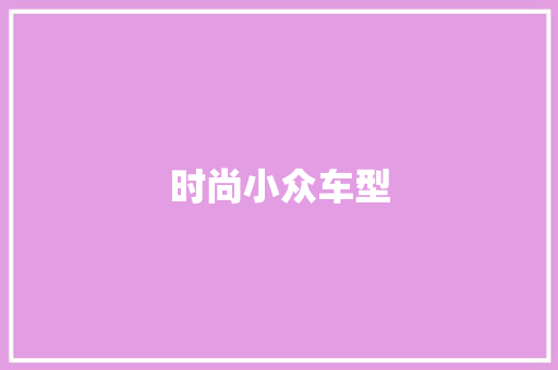 时尚小众车型
