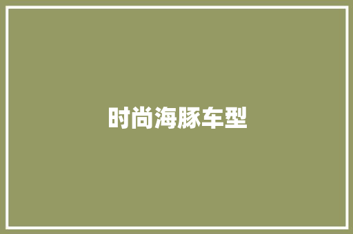 时尚海豚车型