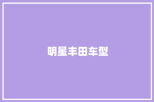 明星丰田车型