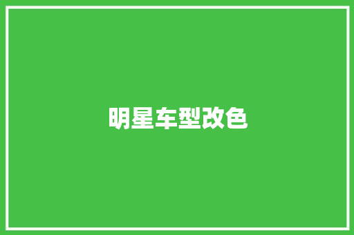 明星车型改色