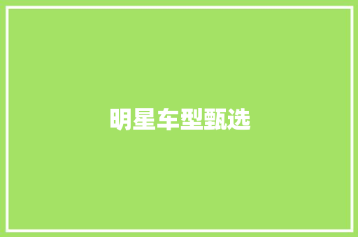 明星车型甄选