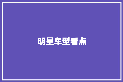 明星车型看点