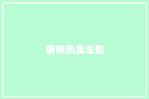 明锐热卖车型
