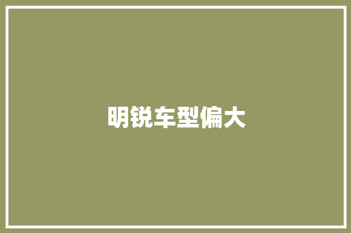 明锐车型偏大