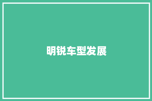 明锐车型发展