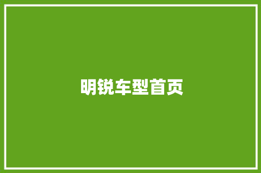 明锐车型首页