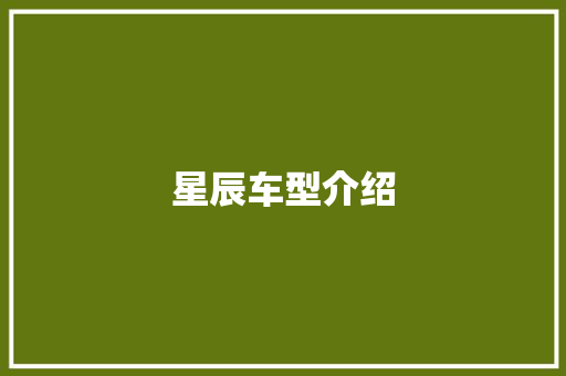 星辰车型介绍