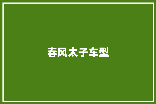 春风太子车型