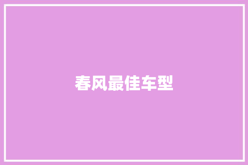 春风最佳车型