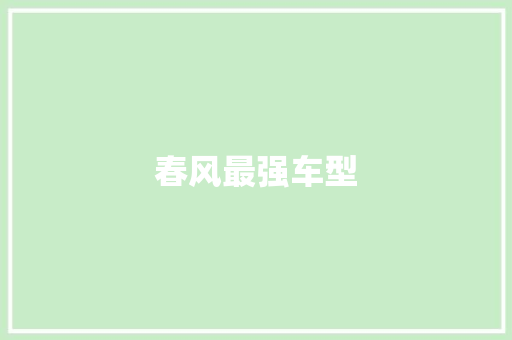 春风最强车型