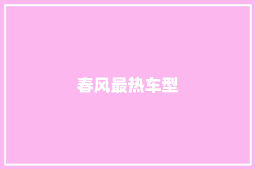 春风最热车型