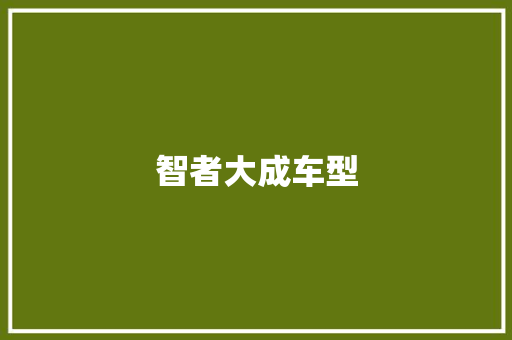 智者大成车型
