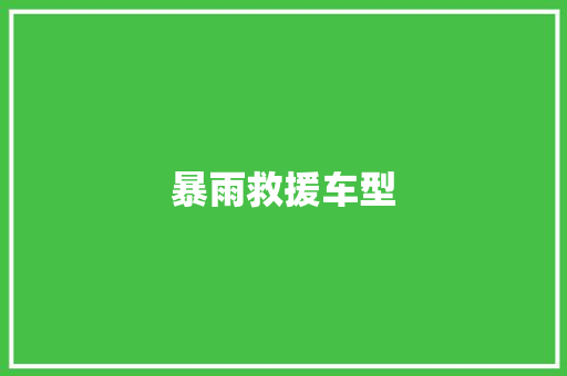 暴雨救援车型