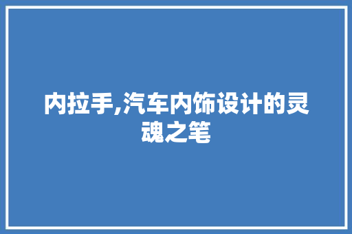 内拉手,汽车内饰设计的灵魂之笔