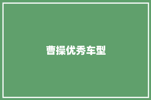 曹操优秀车型