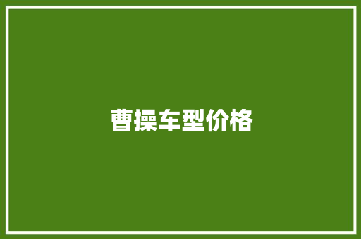 曹操车型价格
