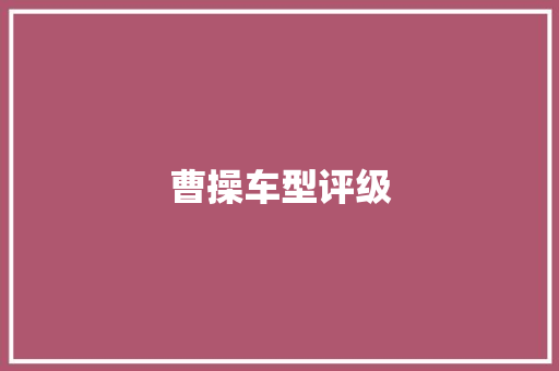 曹操车型评级