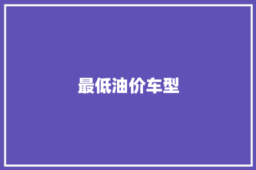 最低油价车型