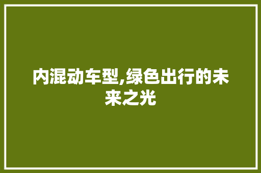 内混动车型,绿色出行的未来之光