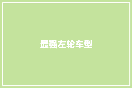 最强左轮车型