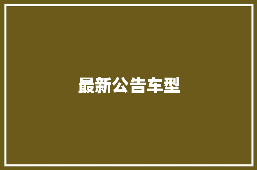 最新公告车型