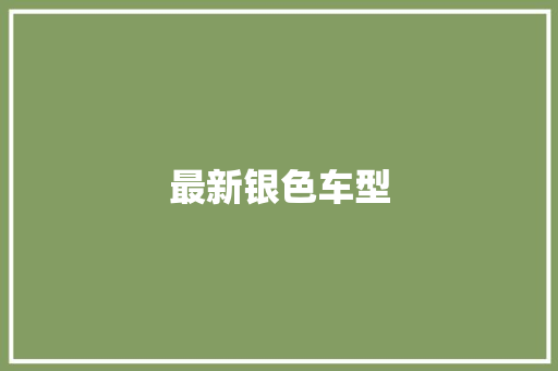最新银色车型