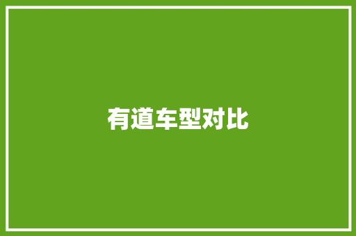 有道车型对比