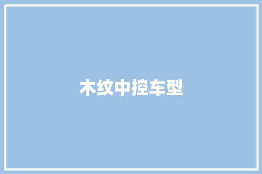 木纹中控车型
