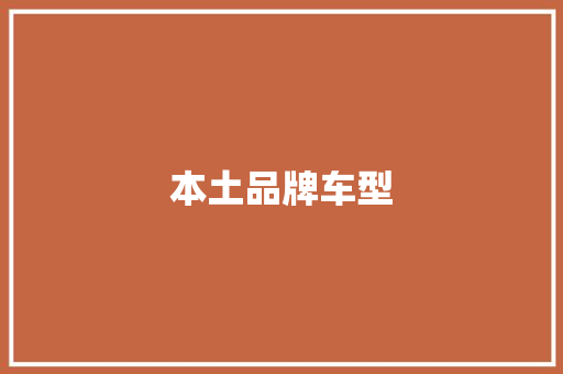 本土品牌车型