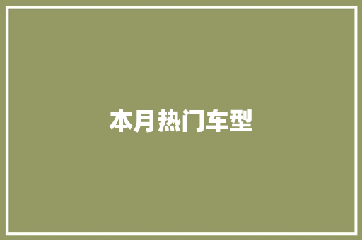 本月热门车型