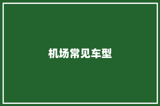机场常见车型