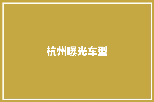 杭州曝光车型
