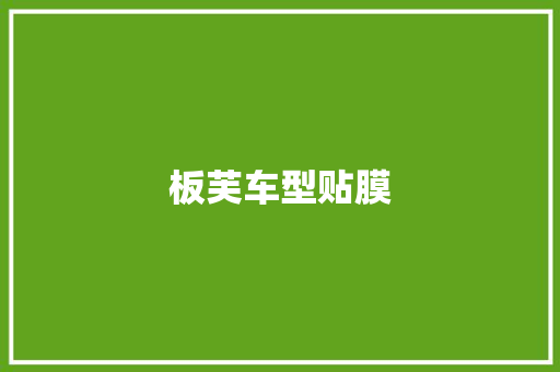 板芙车型贴膜