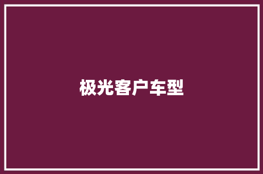 极光客户车型