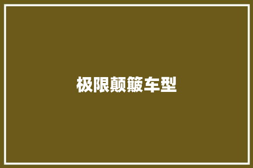 极限颠簸车型
