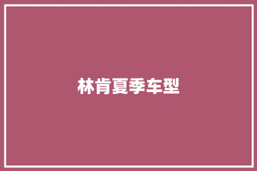 林肯夏季车型