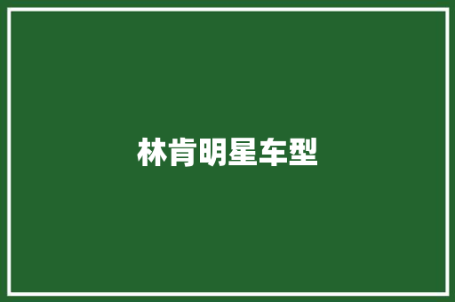 林肯明星车型