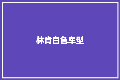 林肯白色车型