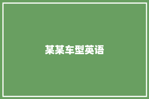 某某车型英语